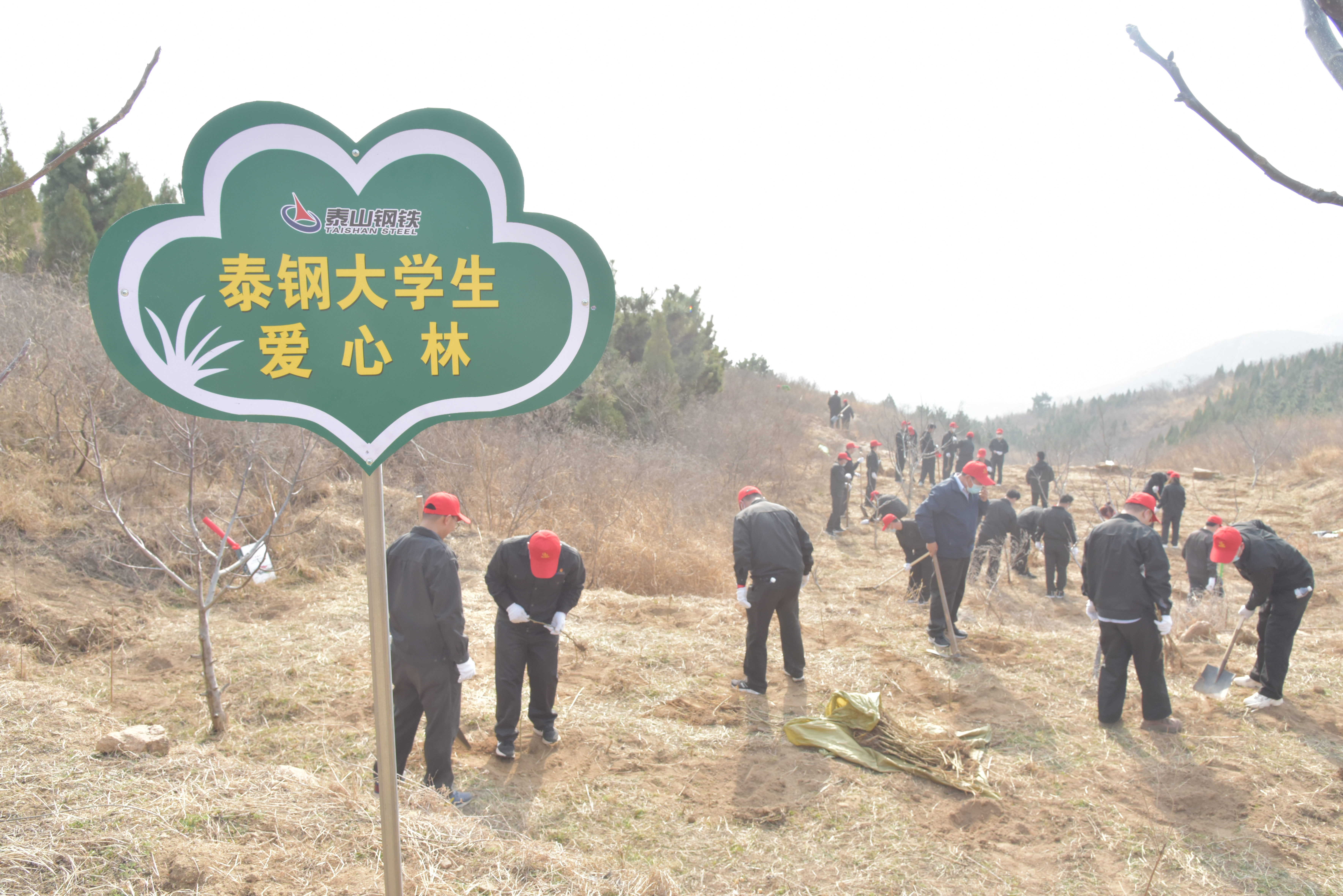 乐动（中国）官方网站大学生植爱心林